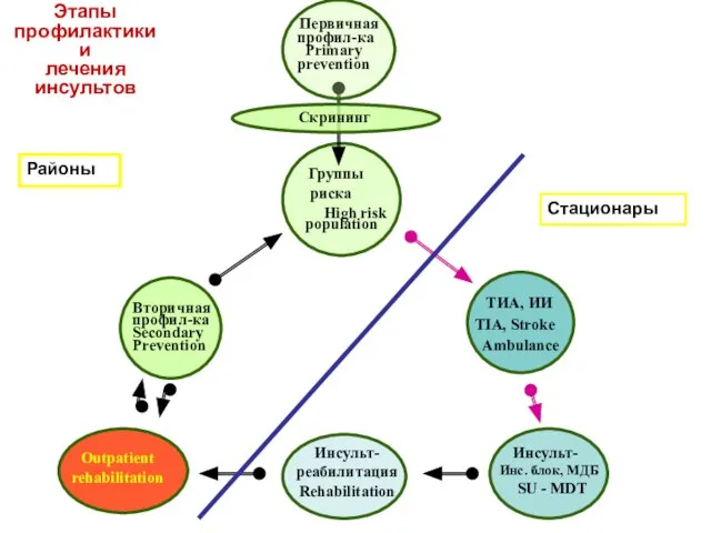 ТИА, ИИ TIA, Stroke Ambulance Скрининг Первичная профил-ка Primary prevention Вторичная профил-ка