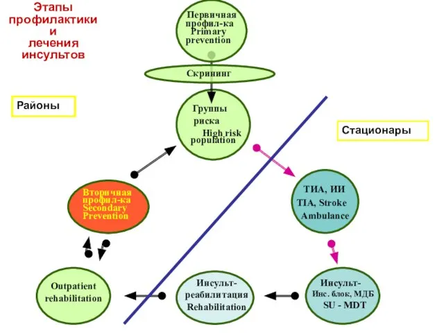 ТИА, ИИ TIA, Stroke Ambulance Скрининг Первичная профил-ка Primary prevention Вторичная профил-ка