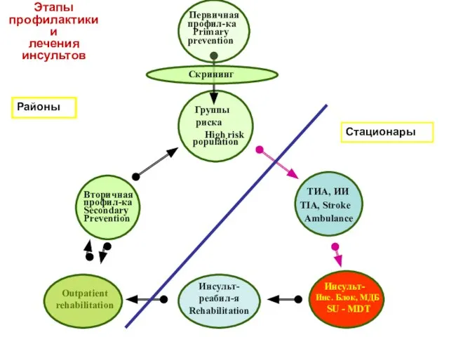 ТИА, ИИ TIA, Stroke Ambulance Инсульт- реабил-я Rehabilitation Outpatient rehabilitation Скрининг Первичная