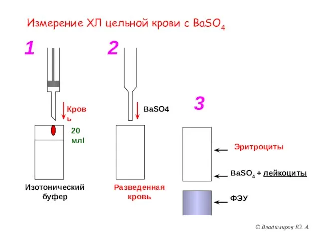 Измерение ХЛ цельной крови с BaSO4