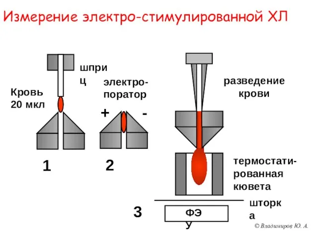 Измерение электро-стимулированной ХЛ