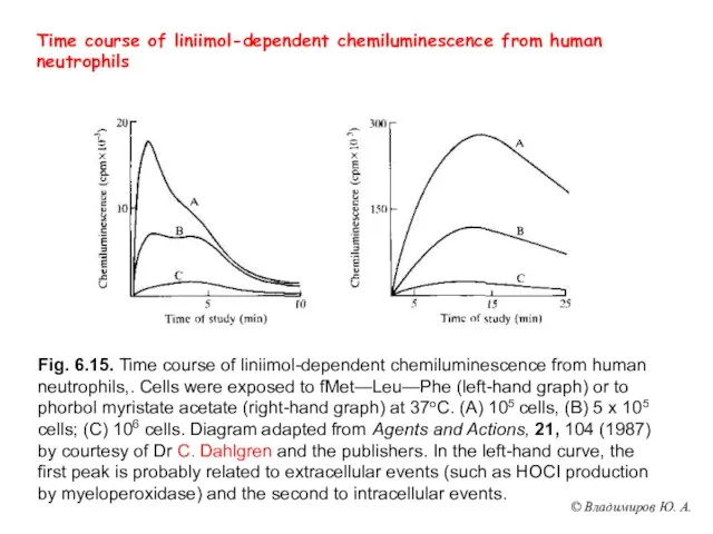 Time course of liniimol-dependent chemiluminescence from human neutrophils Fig. 6.15. Time course
