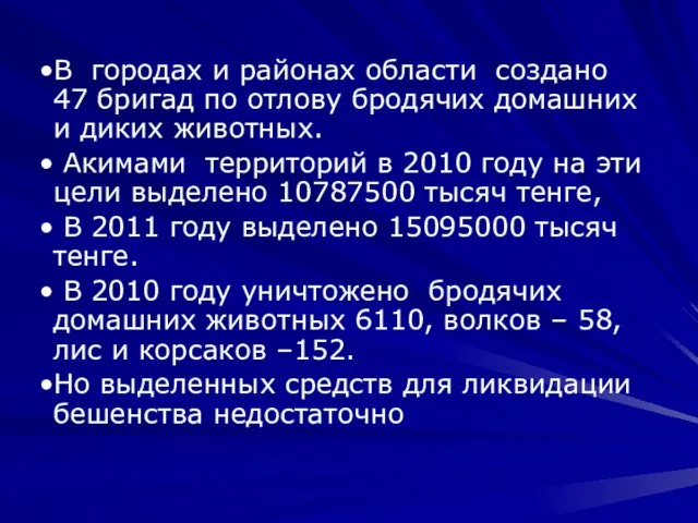 В городах и районах области создано 47 бригад по отлову бродячих домашних