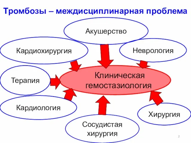 Кардиология Тромбозы – междисциплинарная проблема Хирургия Акушерство Терапия Сосудистая хирургия Клиническая гемостазиология Неврология Кардиохирургия