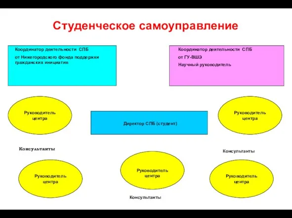 Директор СПБ (студент) Руководитель центра Руководитель центра Руководитель центра Консультанты Координатор деятельности