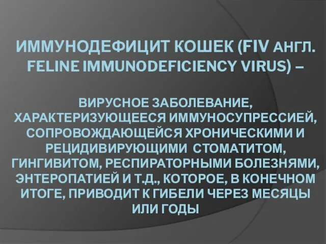 ИММУНОДЕФИЦИТ КОШЕК (FIV АНГЛ. FELINE IMMUNODEFICIENCY VIRUS) – ВИРУСНОЕ ЗАБОЛЕВАНИЕ, ХАРАКТЕРИЗУЮЩЕЕСЯ ИММУНОСУПРЕССИЕЙ,