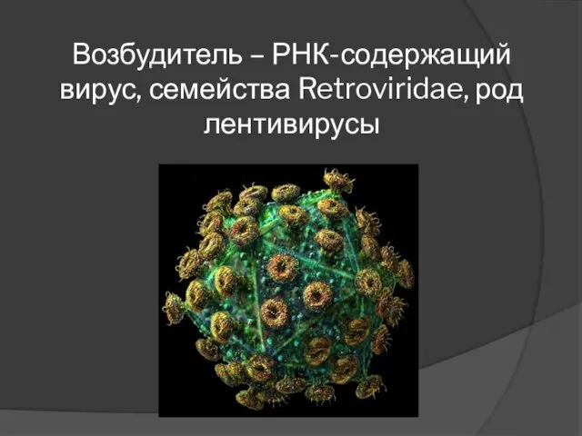 Возбудитель – РНК-содержащий вирус, семейства Retroviridae, род лентивирусы
