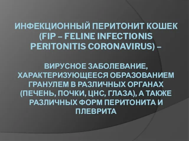 ИНФЕКЦИОННЫЙ ПЕРИТОНИТ КОШЕК (FIP – FELINE INFECTIONIS PERITONITIS CORONAVIRUS) – ВИРУСНОЕ ЗАБОЛЕВАНИЕ,