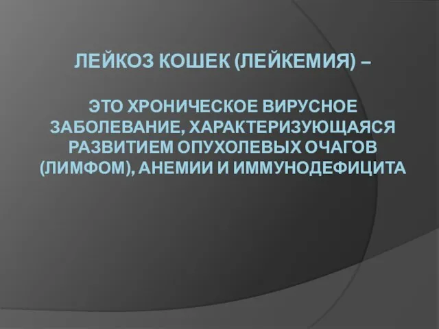 ЛЕЙКОЗ КОШЕК (ЛЕЙКЕМИЯ) – ЭТО ХРОНИЧЕСКОЕ ВИРУСНОЕ ЗАБОЛЕВАНИЕ, ХАРАКТЕРИЗУЮЩАЯСЯ РАЗВИТИЕМ ОПУХОЛЕВЫХ ОЧАГОВ (ЛИМФОМ), АНЕМИИ И ИММУНОДЕФИЦИТА