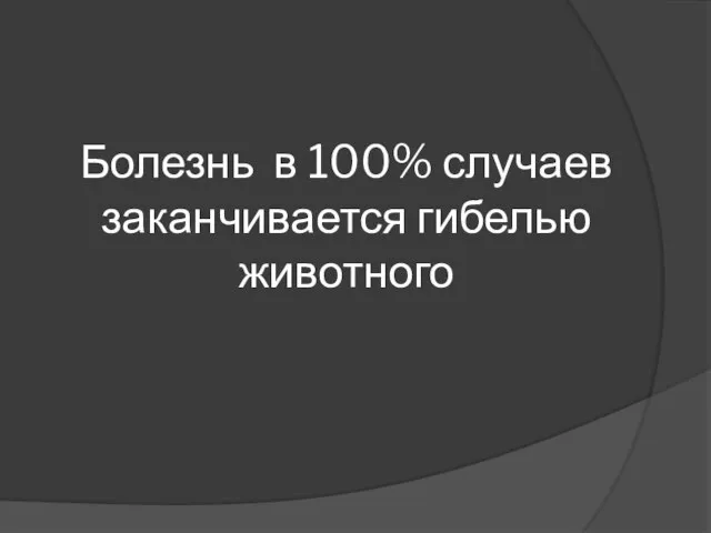 Болезнь в 100% случаев заканчивается гибелью животного