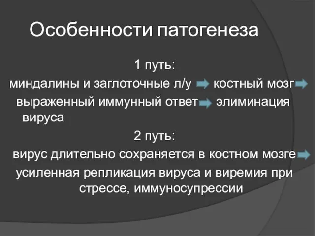 Особенности патогенеза 1 путь: миндалины и заглоточные л/у костный мозг выраженный иммунный