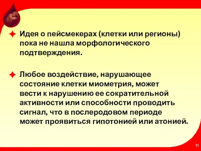 Идея о пейсмекерах (клетки или регионы) пока не нашла морфологического подтверждения. Любое