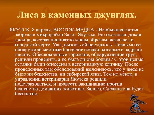 Лиса в каменных джунглях. ЯКУТСК. 8 апреля. ВОСТОК-МЕДИА - Необычная гостья забрела