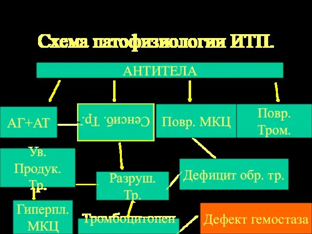 Схема патофизиологии ИТП. АНТИТЕЛА АГ+АТ Сенсиб. Тр. Повр. МКЦ Повр. Тром. Разруш.