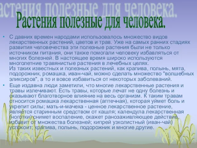 С давних времен народами использовалось множество видов лекарственных растений, цветов и трав.