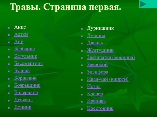 Травы. Страница первая. Анис Алтей Аир Барбарис Багульник Бессмертник Бузина Борщевик Боярышник