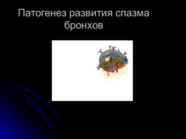 Патогенез развития спазма бронхов