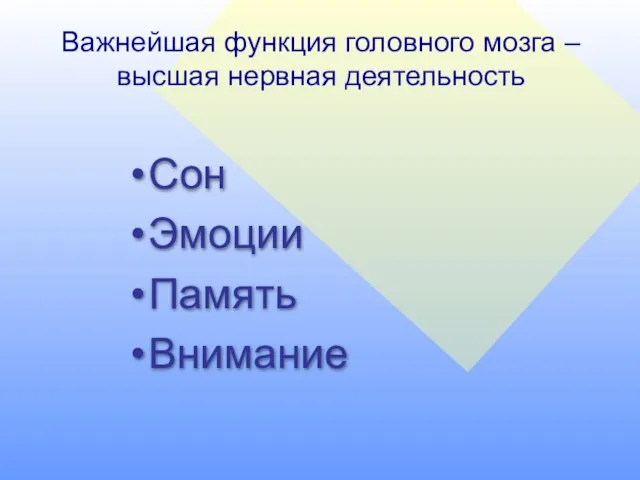 Важнейшая функция головного мозга – высшая нервная деятельность Сон Эмоции Память Внимание