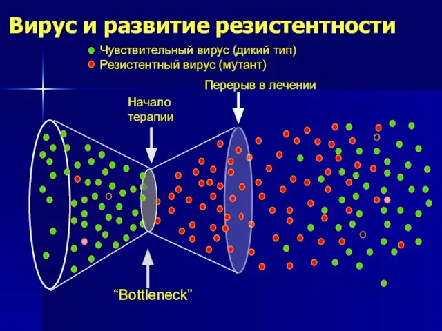 Вирус и развитие резистентности Чувствительный вирус (дикий тип) Резистентный вирус (мутант) Начало