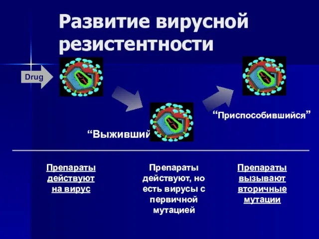 Развитие вирусной резистентности Drug “Выживший” “Приспособившийся” Препараты действуют на вирус Препараты действуют,