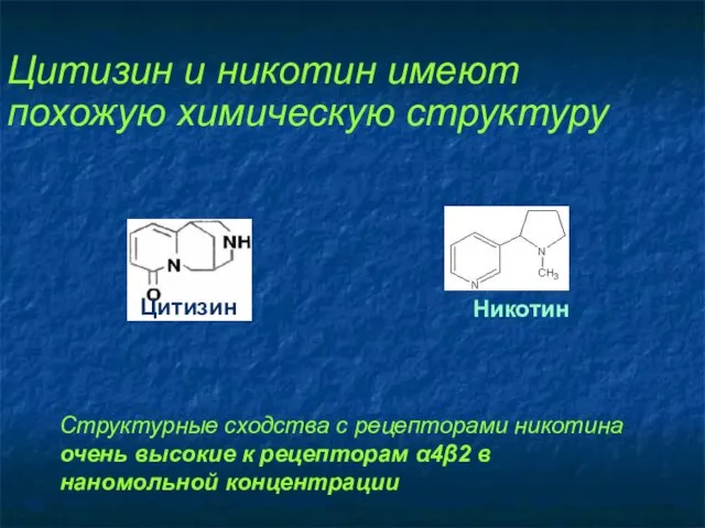 Цитизин Никотин Цитизин и никотин имеют похожую химическую структуру Структурные сходства с