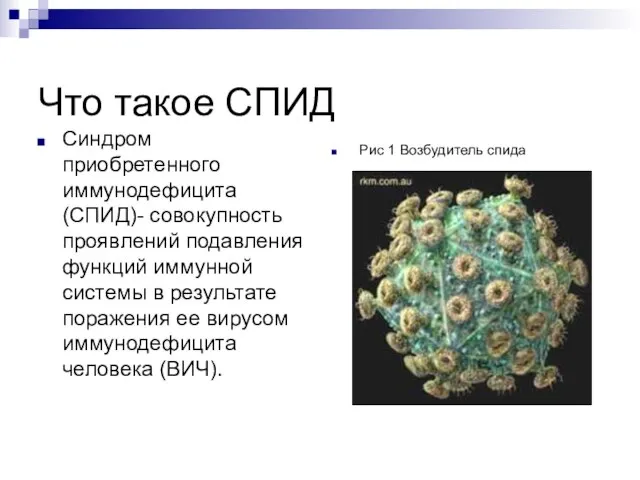 Что такое СПИД Синдром приобретенного иммунодефицита (СПИД)- совокупность проявлений подавления функций иммунной