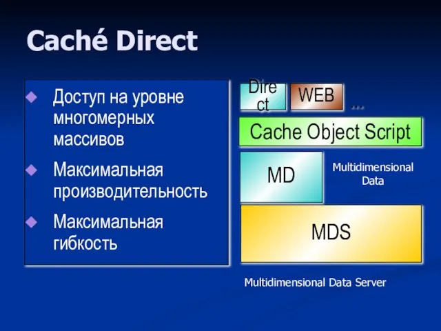 Caché Direct Доступ на уровне многомерных массивов Максимальная производительность Максимальная гибкость MDS