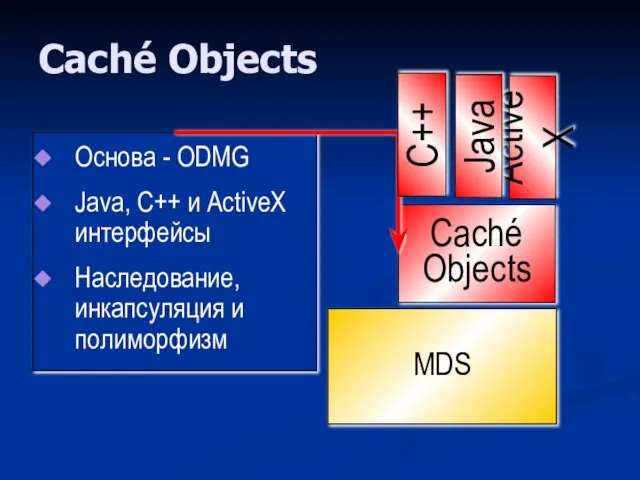 Caché Objects Caché Objects MDS Основа - ODMG Java, C++ и ActiveX