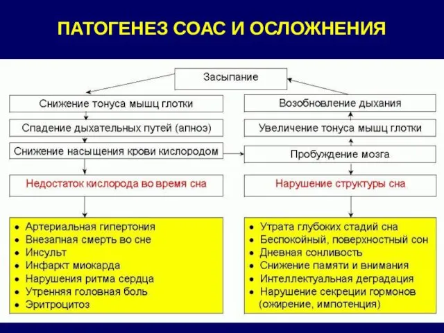 ПАТОГЕНЕЗ СОАС И ОСЛОЖНЕНИЯ