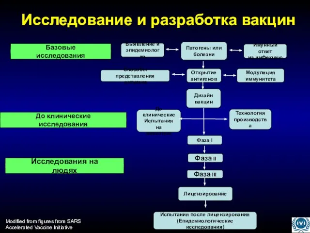 Исследование и разработка вакцин Патогены или болезни Открытие антигенов Дизайн вакцин Выявление