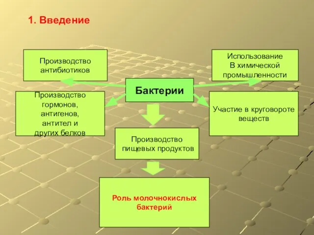 1. Введение Бактерии Использование В химической промышленности Производство пищевых продуктов Производство антибиотиков