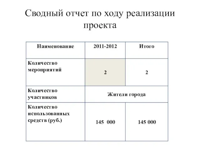 Сводный отчет по ходу реализации проекта