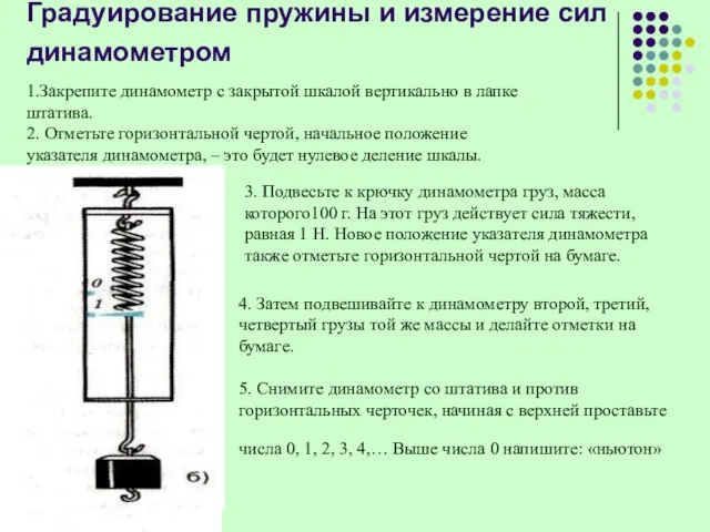 Градуирование пружины и измерение сил динамометром 1.Закрепите динамометр с закрытой шкалой вертикально