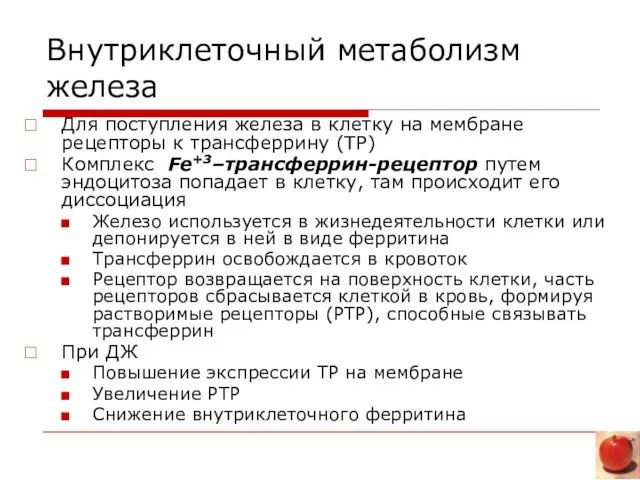 Внутриклеточный метаболизм железа Для поступления железа в клетку на мембране рецепторы к