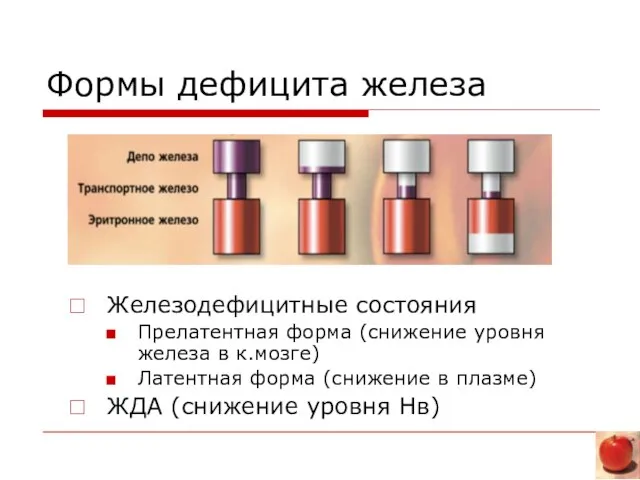 Формы дефицита железа Железодефицитные состояния Прелатентная форма (снижение уровня железа в к.мозге)