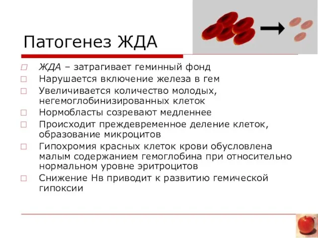 Патогенез ЖДА ЖДА – затрагивает геминный фонд Нарушается включение железа в гем