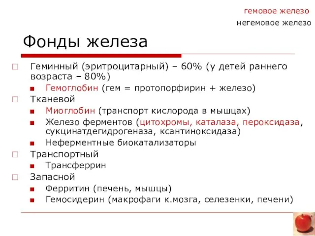 Фонды железа Геминный (эритроцитарный) – 60% (у детей раннего возраста – 80%)