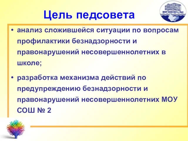 анализ сложившейся ситуации по вопросам профилактики безнадзорности и правонарушений несовершеннолетних в школе;