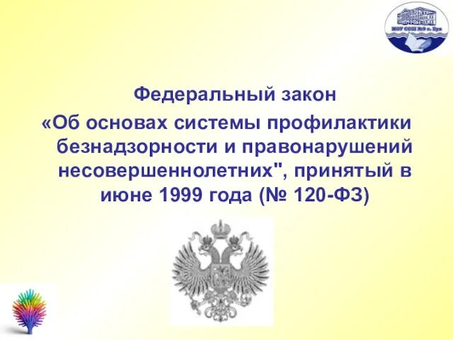 Федеральный закон «Об основах системы профилактики безнадзорности и правонарушений несовершеннолетних", принятый в