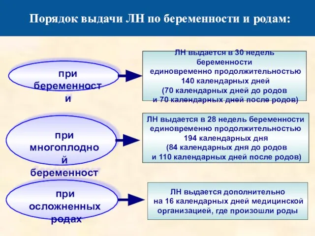 Порядок выдачи ЛН по беременности и родам: при беременности при многоплодной беременности