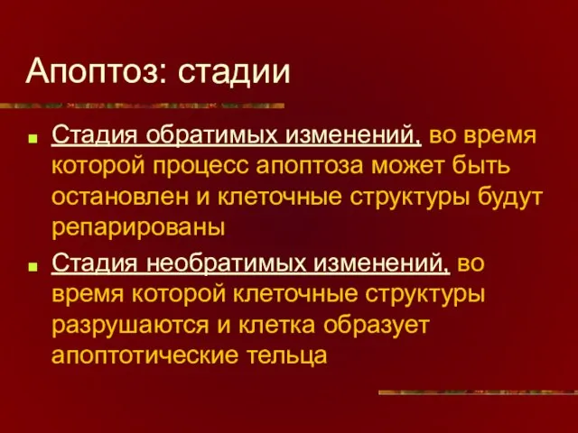 Апоптоз: стадии Стадия обратимых изменений, во время которой процесс апоптоза может быть