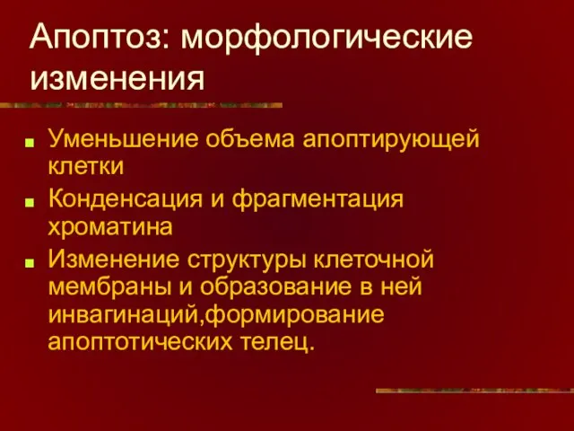 Апоптоз: морфологические изменения Уменьшение объема апоптирующей клетки Конденсация и фрагментация хроматина Изменение