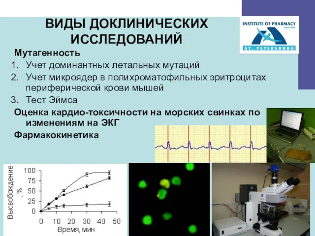 Мутагенность Учет доминантных летальных мутаций Учет микроядер в полихроматофильных эритроцитах периферической крови