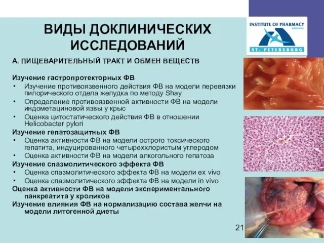 ВИДЫ ДОКЛИНИЧЕСКИХ ИССЛЕДОВАНИЙ А. ПИЩЕВАРИТЕЛЬНЫЙ ТРАКТ И ОБМЕН ВЕЩЕСТВ Изучение гастропротекторных ФВ