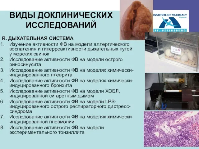 ВИДЫ ДОКЛИНИЧЕСКИХ ИССЛЕДОВАНИЙ R. ДЫХАТЕЛЬНАЯ СИСТЕМА Изучение активности ФВ на модели аллергического