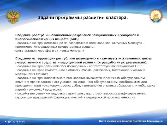 Центр кластерного развития Республики Башкортостан Задачи программы развития кластера: Создание реестра инновационных