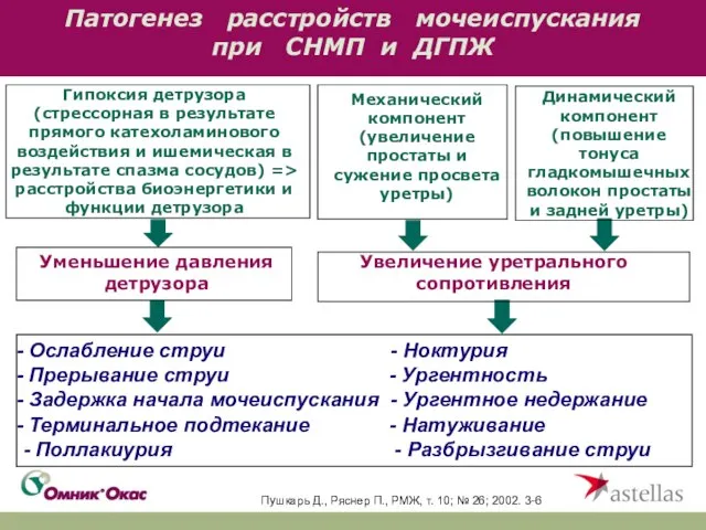 Патогенез расстройств мочеиспускания при СНМП и ДГПЖ Пушкарь Д., Ряснер П., РМЖ,