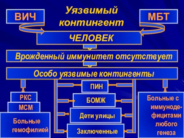 Уязвимый контингент ВИЧ МБТ ЧЕЛОВЕК Врожденный иммунитет отсутствует Особо уязвимые контингенты БОМЖ