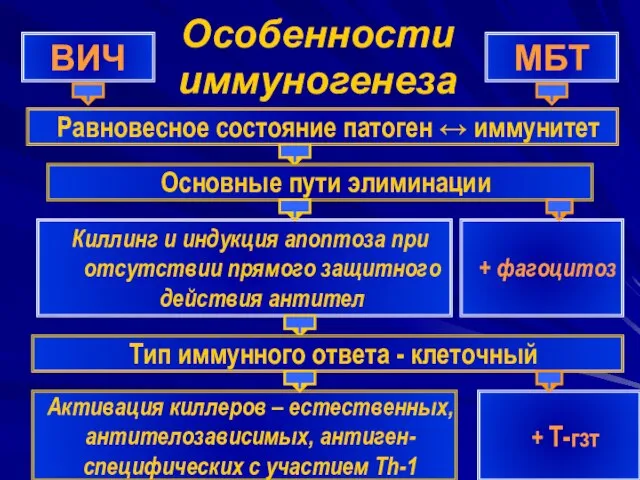 Особенности иммуногенеза ВИЧ МБТ Равновесное состояние патоген ↔ иммунитет Основные пути элиминации