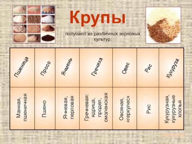 Крупы Пшеница Просо Ячмень Гречиха Овес Рис Кукуруза Манная, пшеничная Пшено Ячневая,